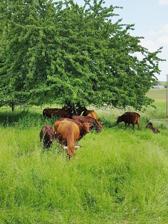 Ferienwohnung Am Viaduktweg Familie Roman Langenleuba-Niederhain Dış mekan fotoğraf